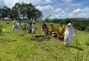 Programa de Apicultura, Instalação do Apiário – Março/2024